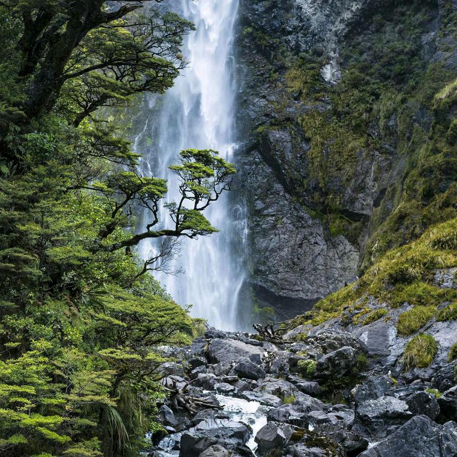 老子的道德经（发货首选中通快运）