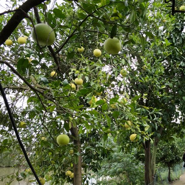 用户平平淡淡才是福