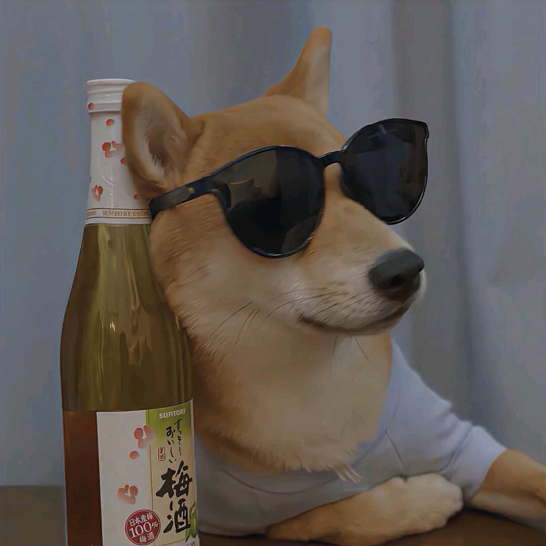 随随便便