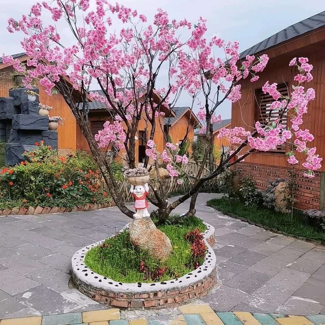 南墙虽撞，故事难忘