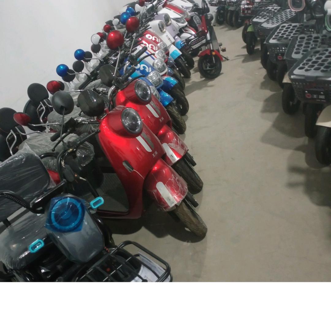 王派电动车
