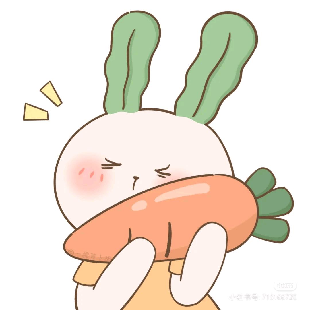 安静的小丸子🐰