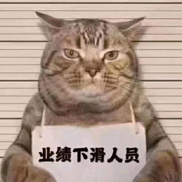 哦哦哦哦哦哦我