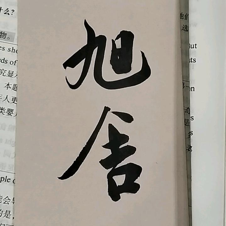 旭舍爱写字