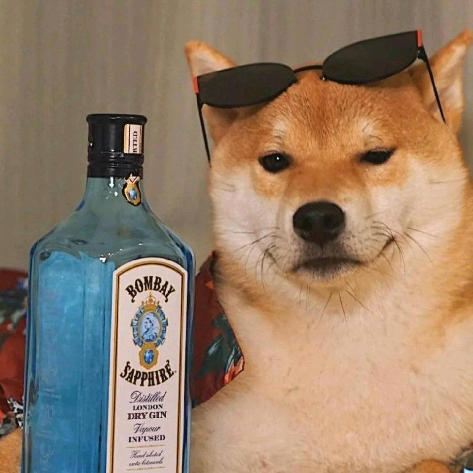 大好人< (ˉ^ˉ)>