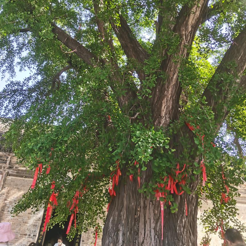 许仙🧙‍♂️白娘子🧚‍♀️等等我