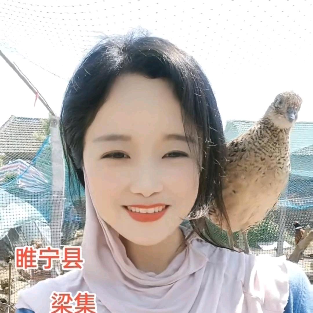 娇娇养殖@七彩山鸡