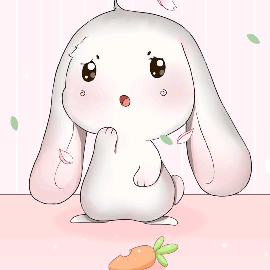 相信奇迹会出现