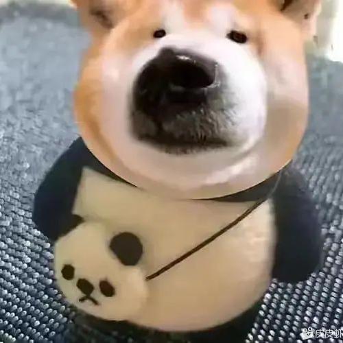 俊俊
