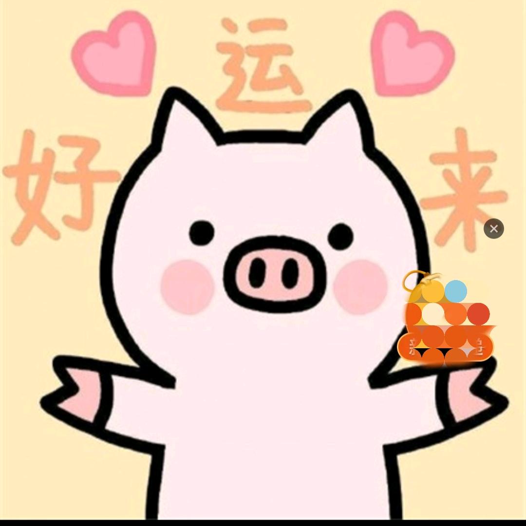 憨憨的猪🐷