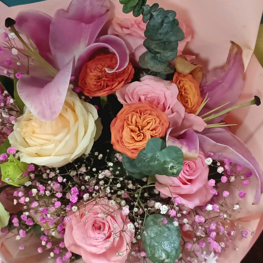 @💗᭄余生ᝰᩚ随心ꦿ໌: 悦