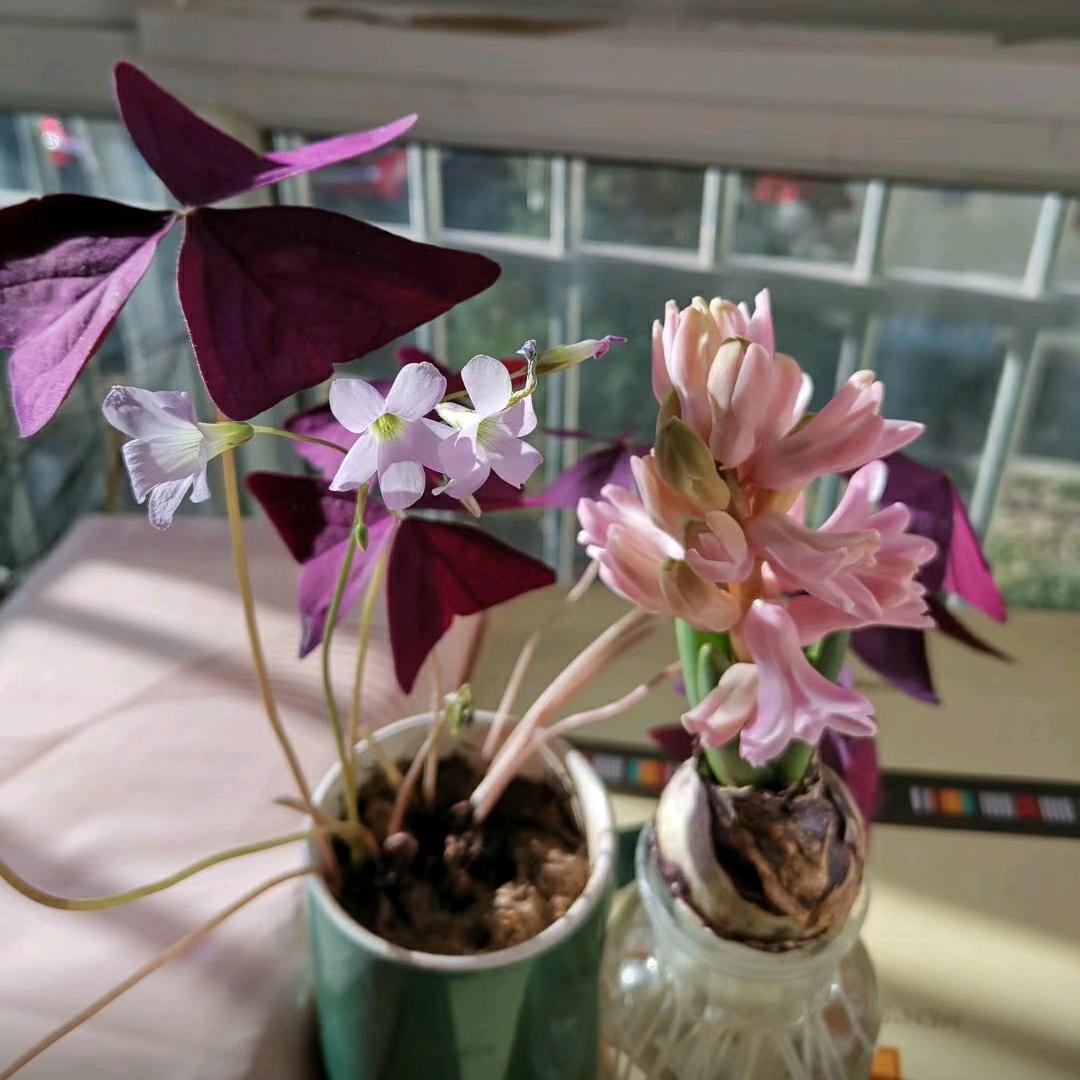 宁愿孤单，也不要无趣