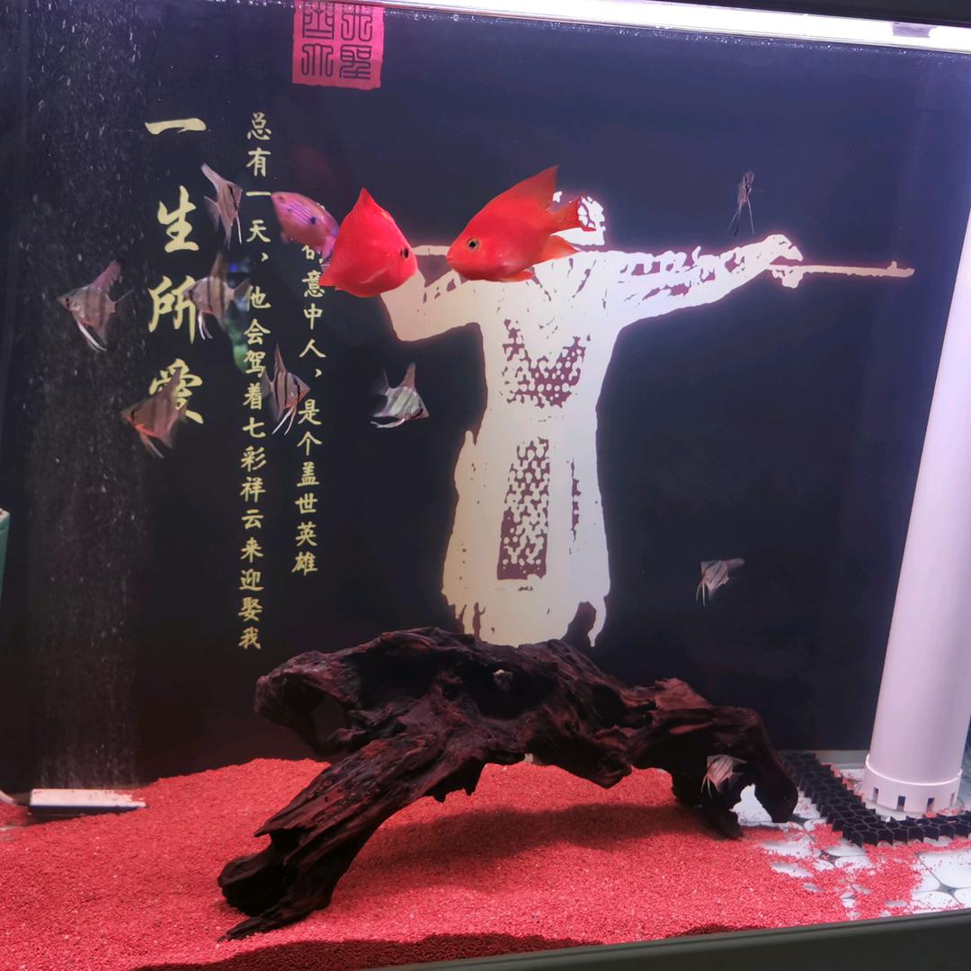 一酒一剑一逍遥