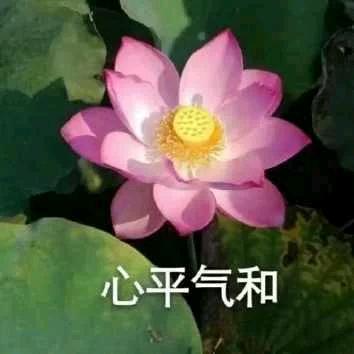 珊瑚珍珠