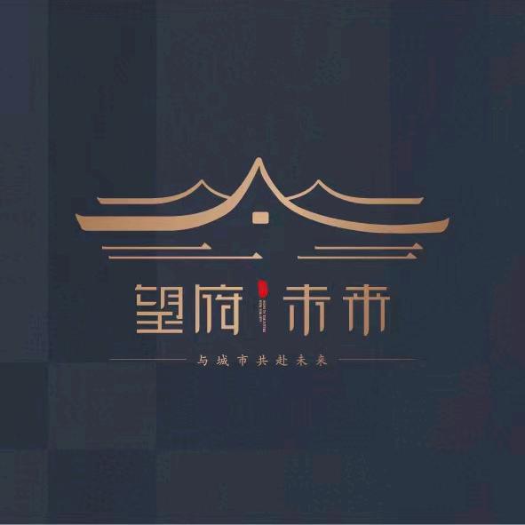 中宏｜望府未来