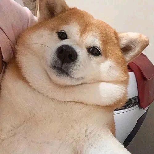 王螺丝