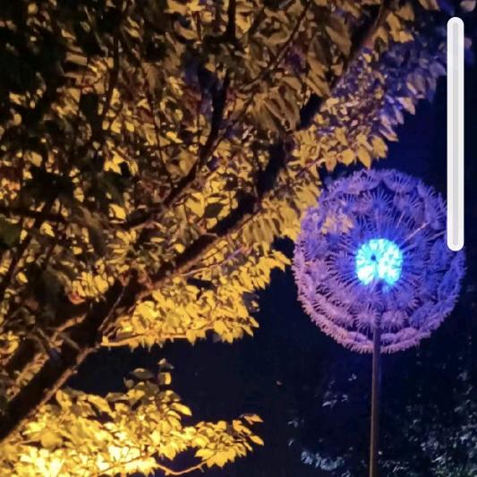 陌上花开818