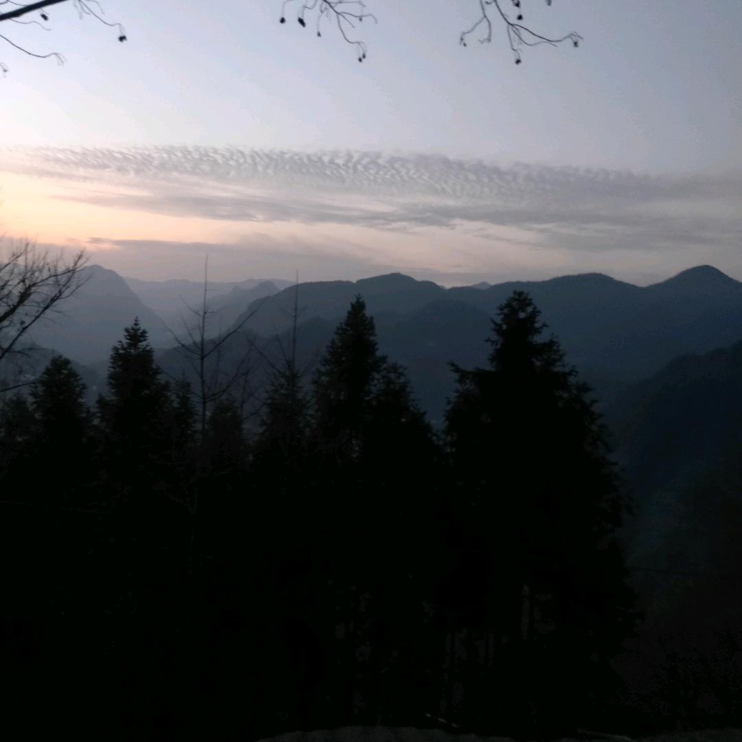 悠韵茶客