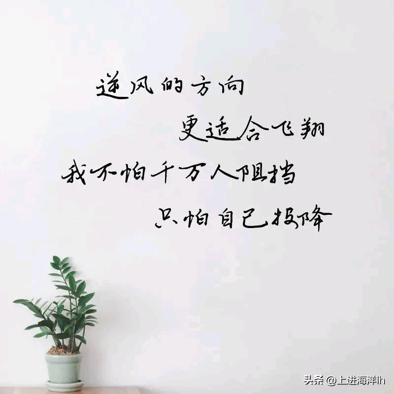 天狼星