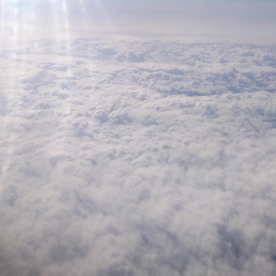 我不是悟空