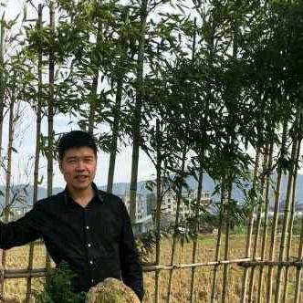 许为票