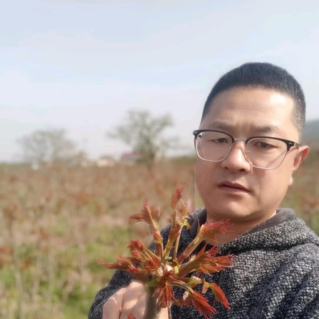 九州椿和生态农业