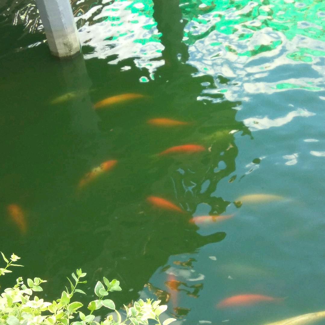 随便起的名字