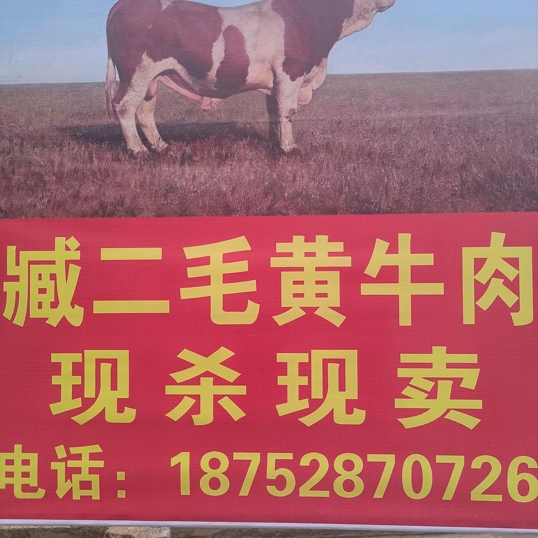 灌南李集中学对面臧二毛黄牛肉销售点