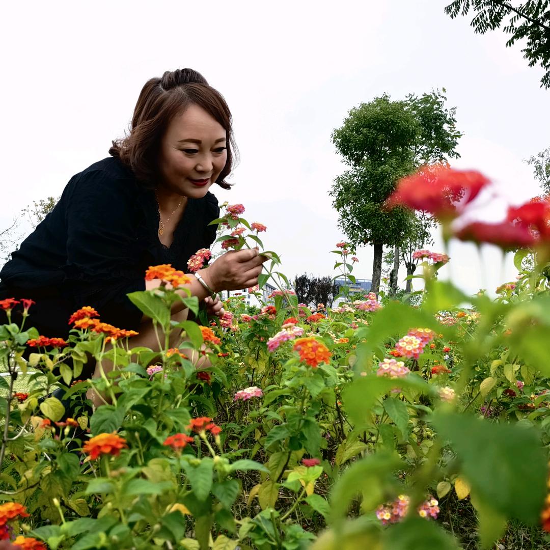 简单就好🌹🌹🌹
