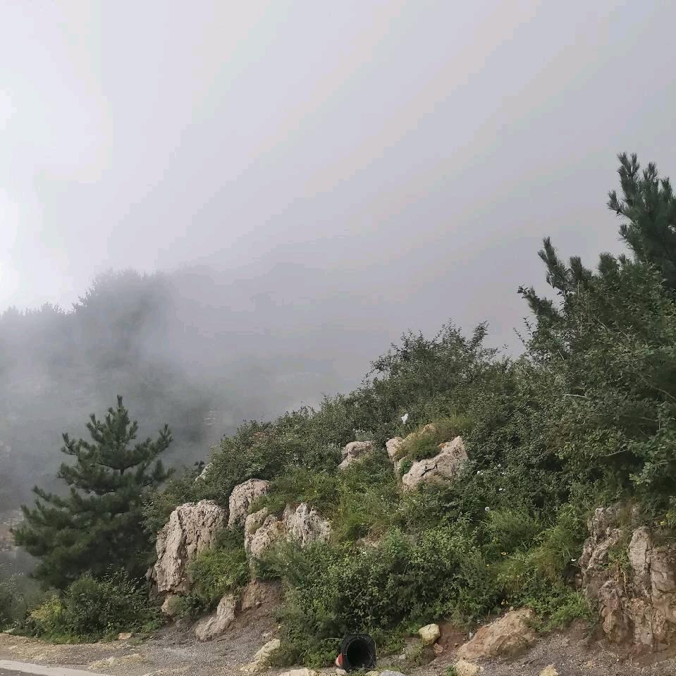 我，属鸡的老玩童