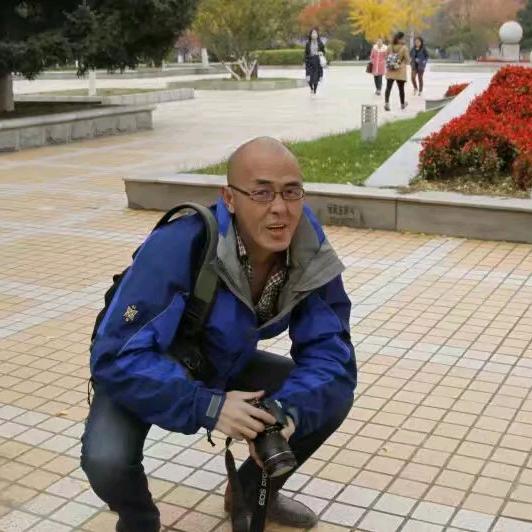 有毛不算秃冬天也光头