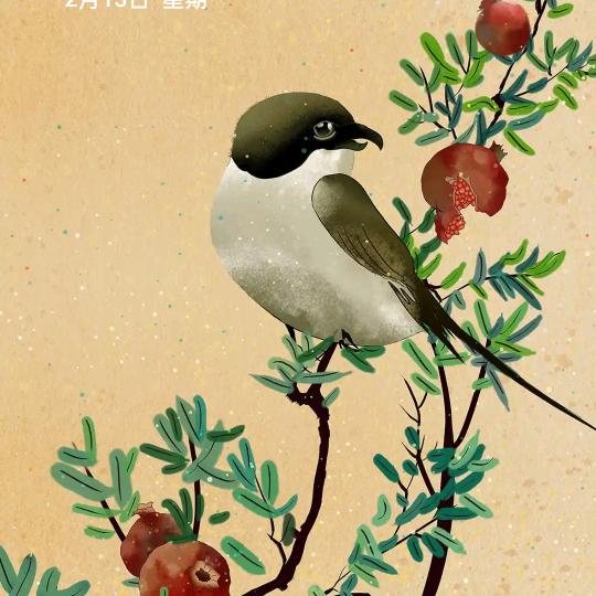 爱的人从没爱过我