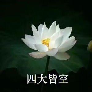 叭叭叭叭麦当当薯条
