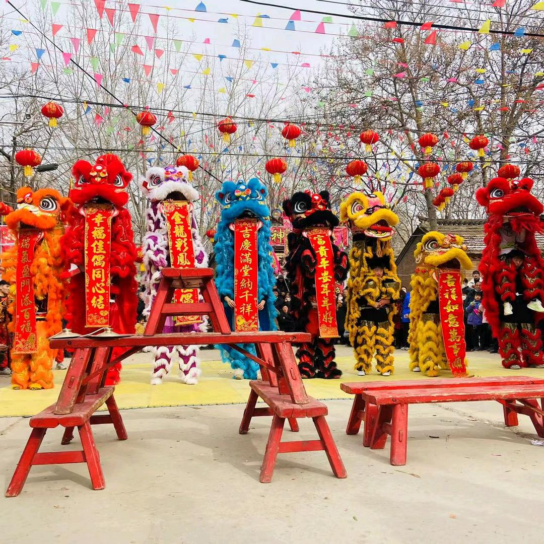 濮阳市龙狮协会~邵老师