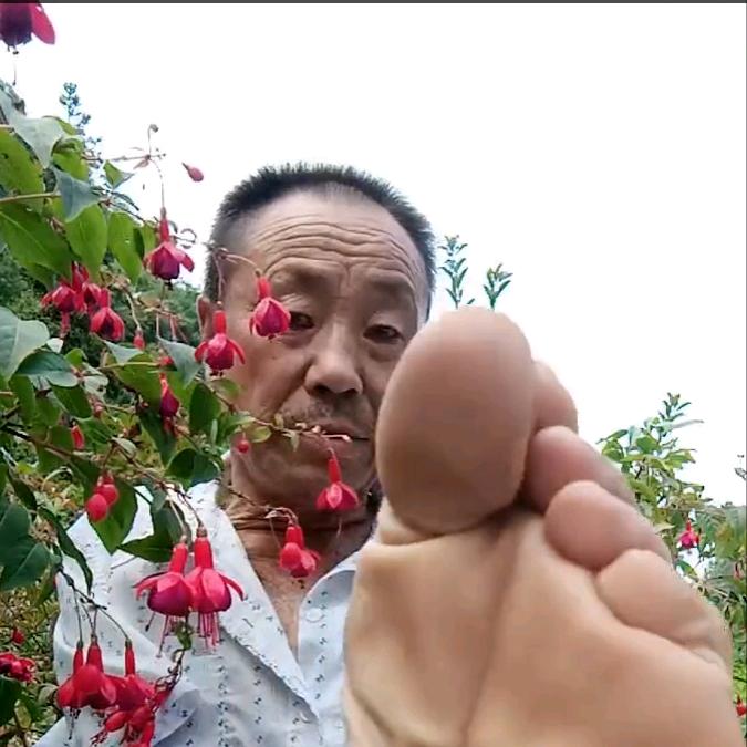 无手老杨晚20点16开播
