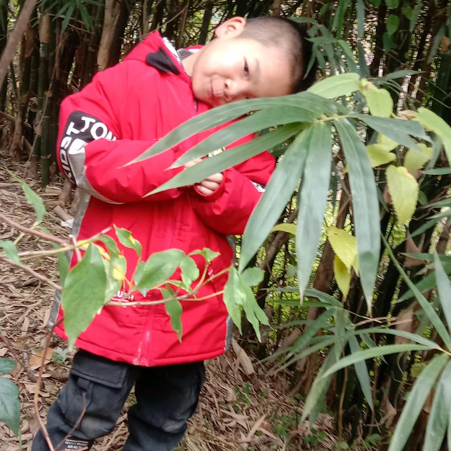 文智