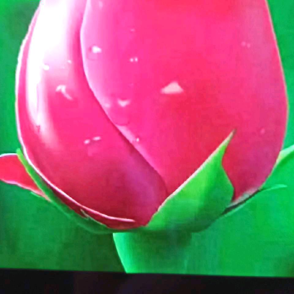 健康幸福