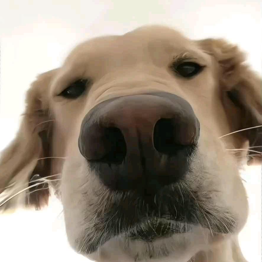 二等兵（三角洲行动）