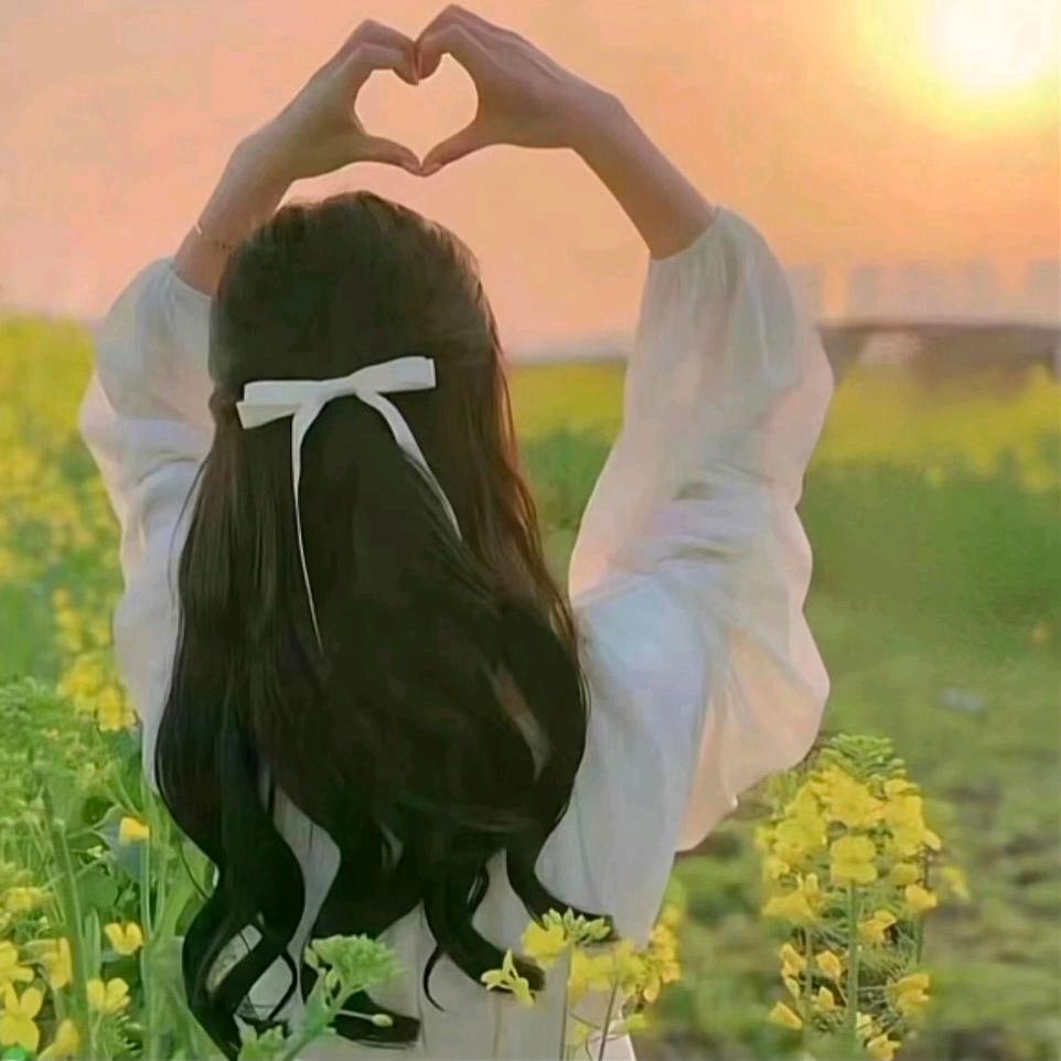 🍀淡淡的百合🌺