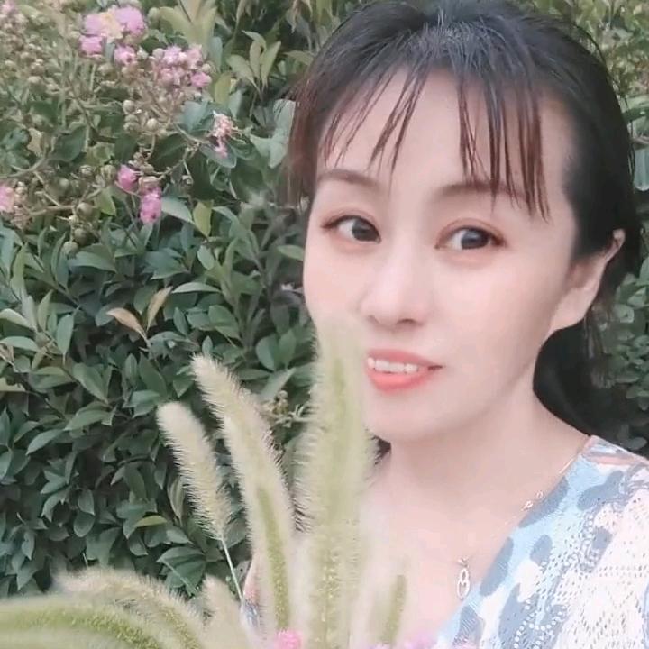 燕子好物分享