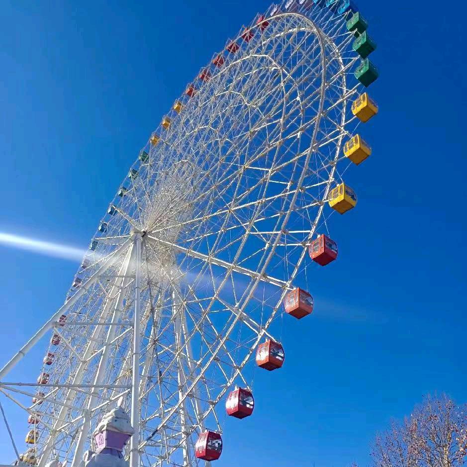 蒲公英