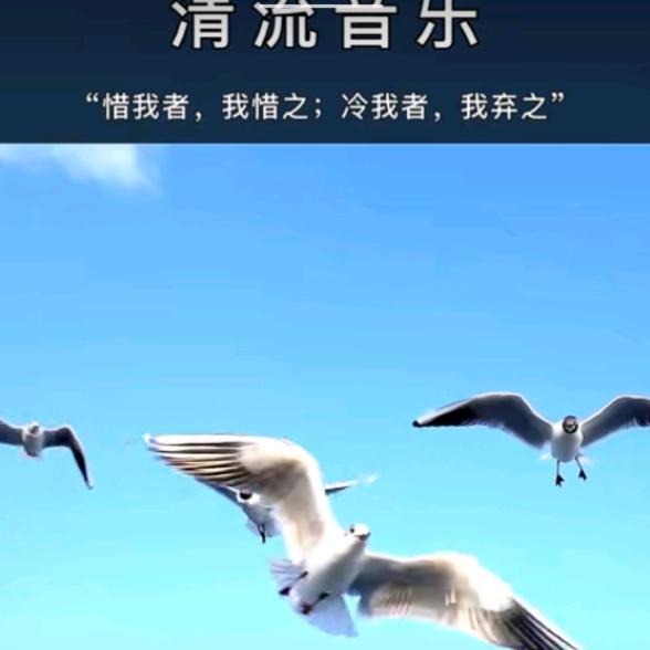 保驾护航