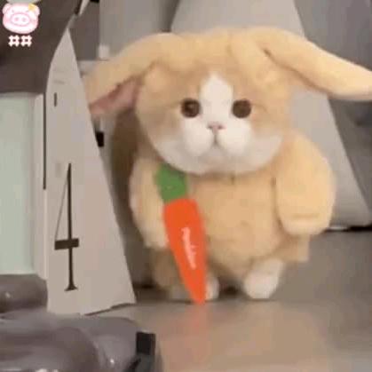 易燃品