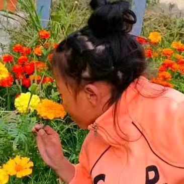 哪位小仙女 👸