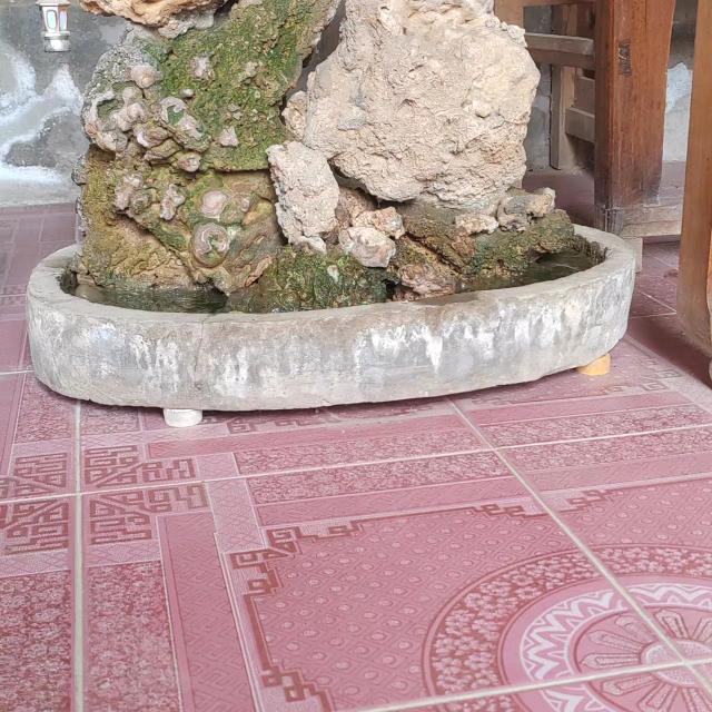 我关注了你