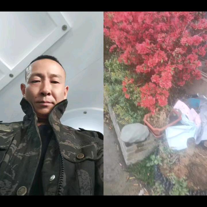秦火🔥