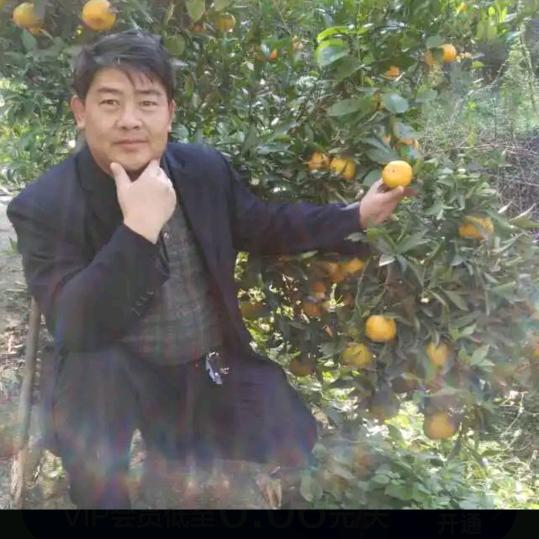 用户679219011543世外桃源