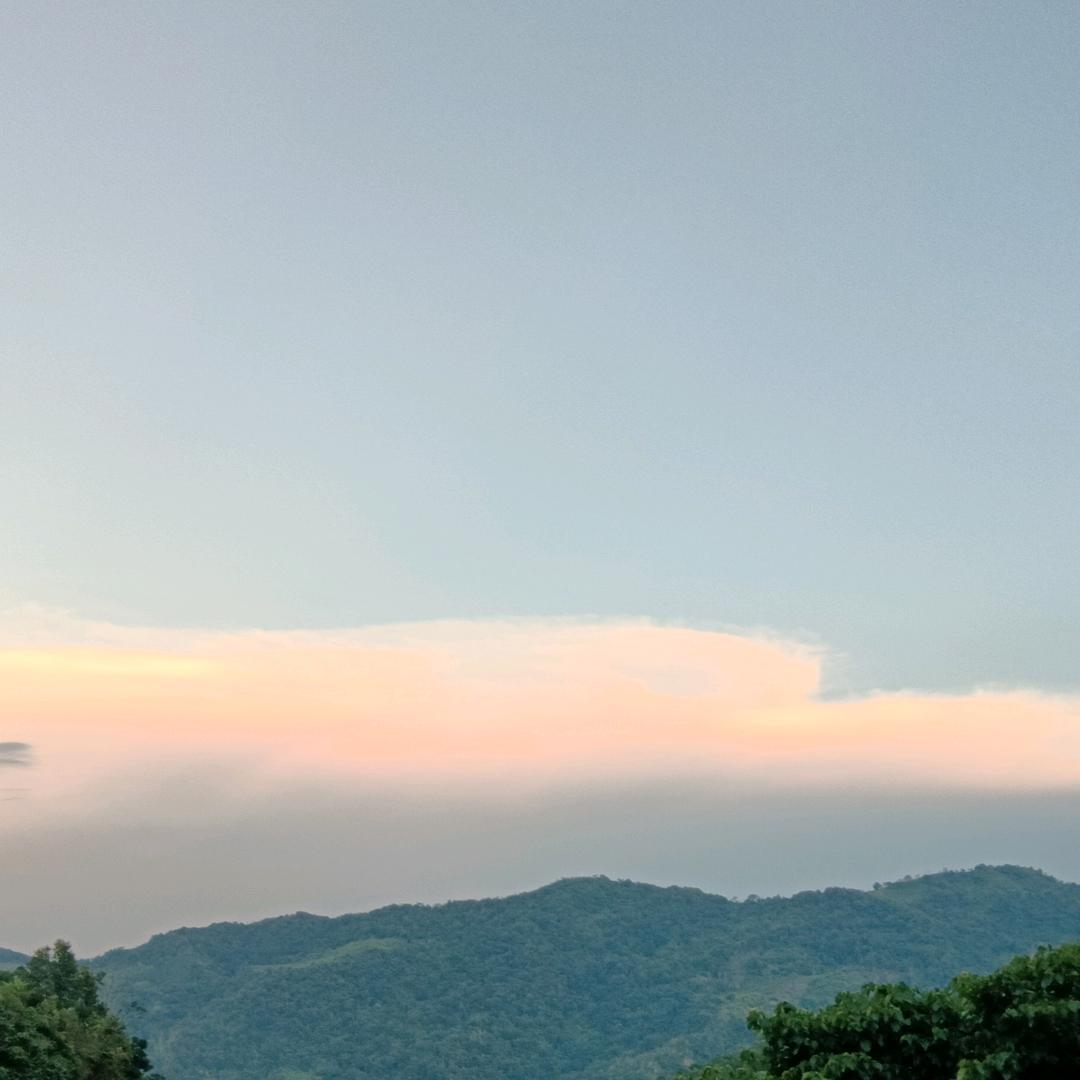 心玩