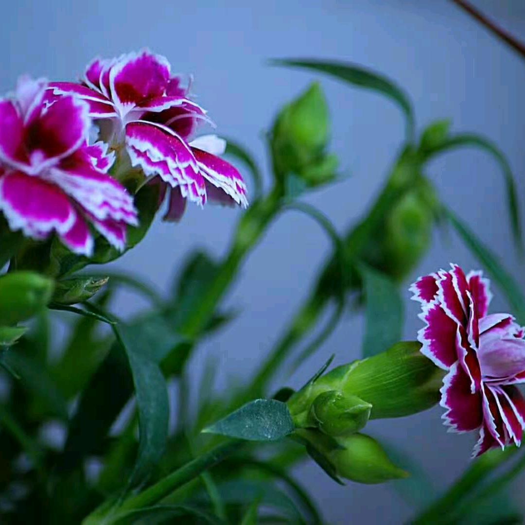 一家人身体健康