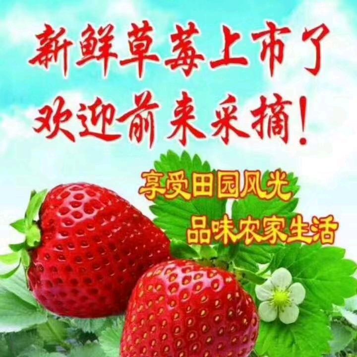 绿盛葡萄草莓采摘园